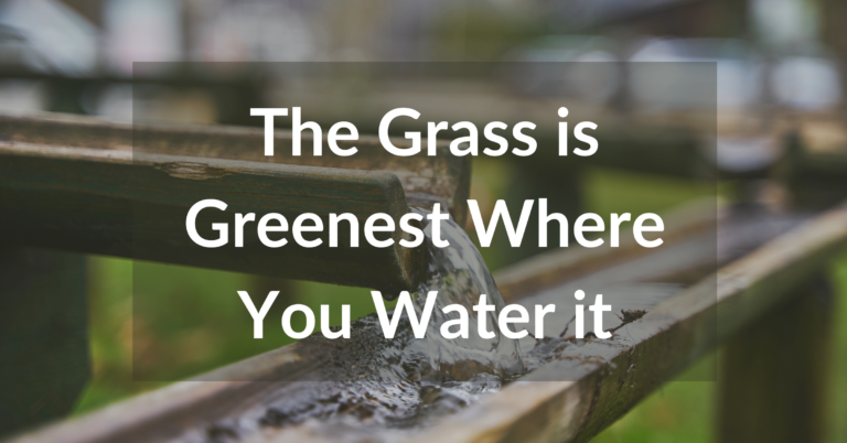 The Grass Is Greenest Where You Water It | Featured Image
