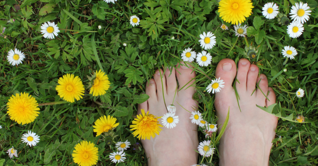 A beautiful image of green grass, flowers and a woman's feet