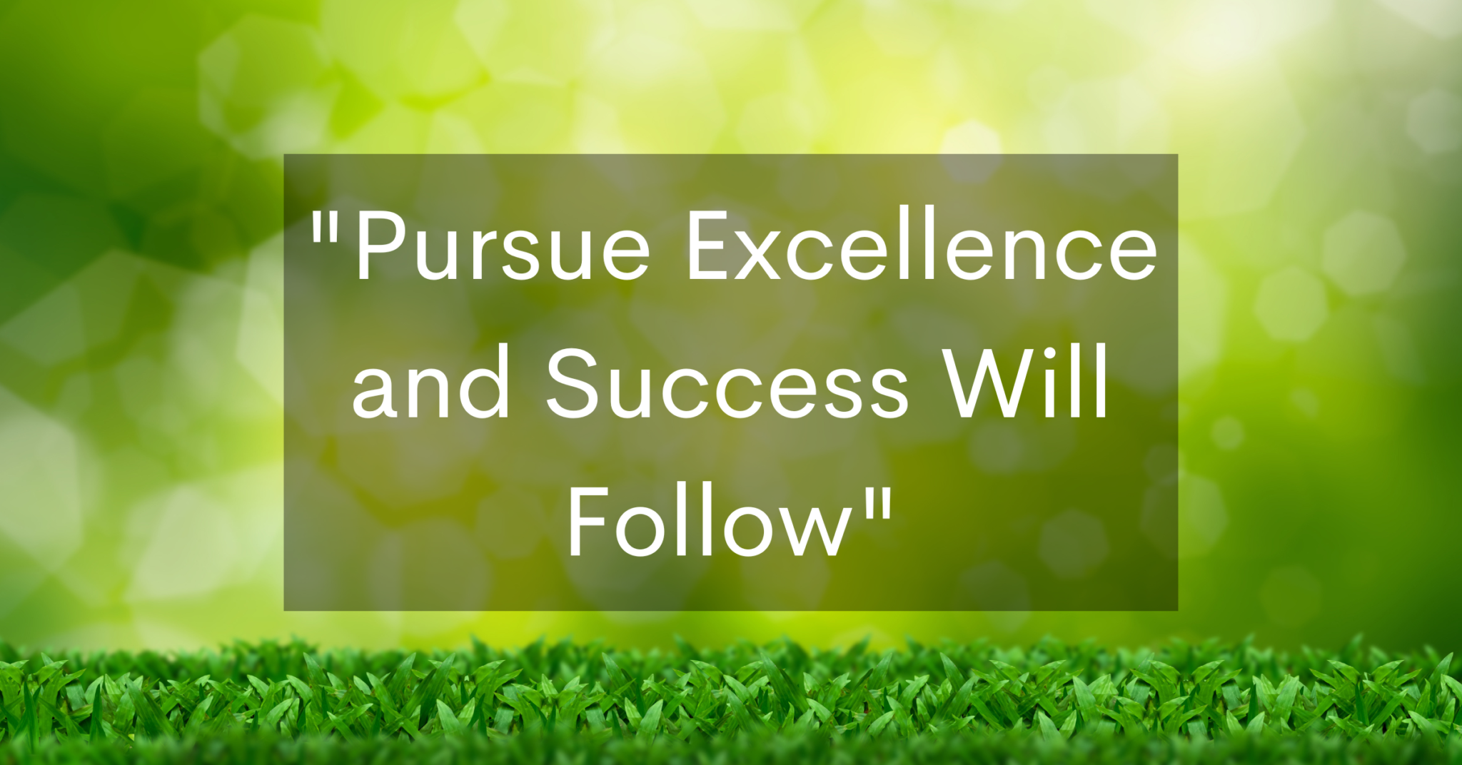 pursue-excellence-and-success-will-follow-success-minded