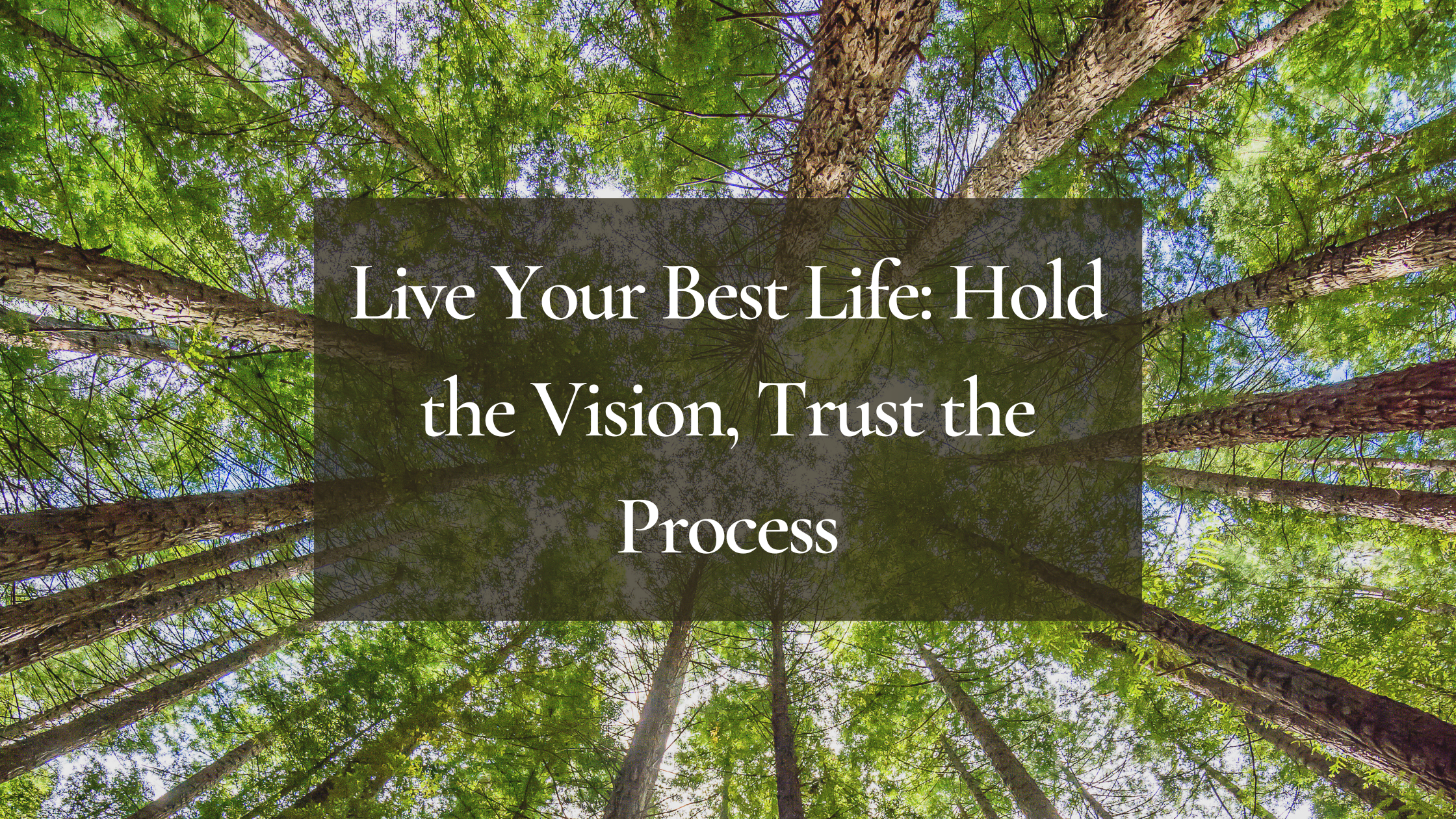 Live Your Best Life Hold the Vision And Trust the Process  Success Minded