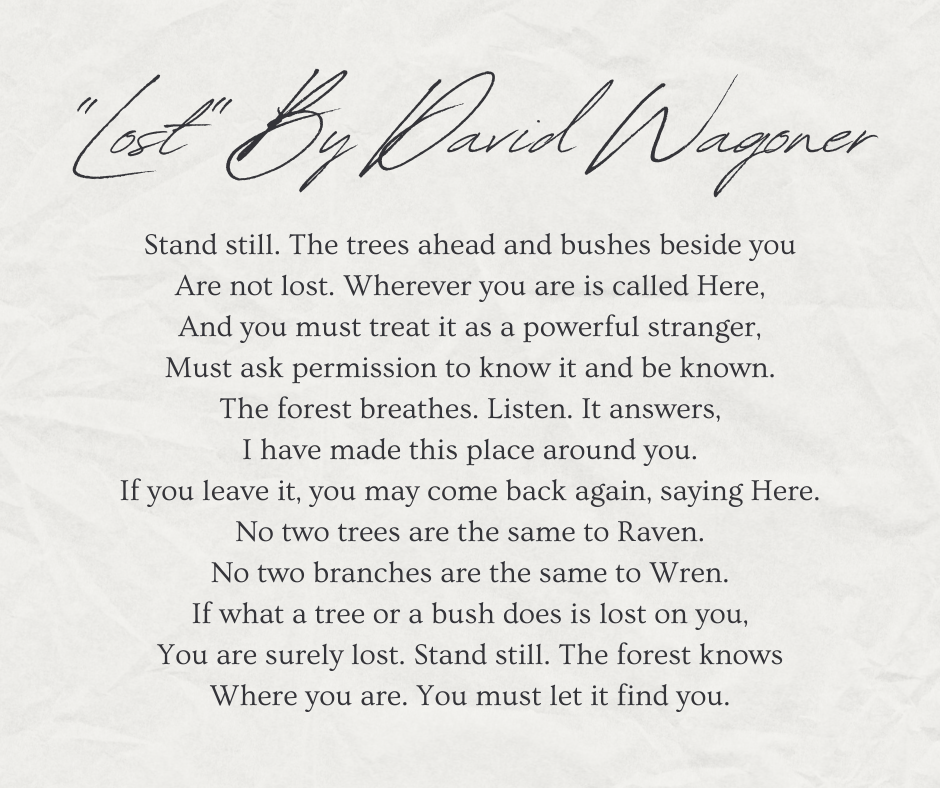"Lost" Full Poem By David Wagoner 