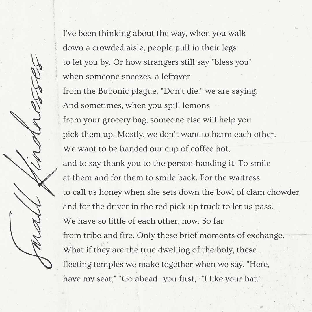 "Small Kindnesses" – A Poem by Danusha Laméris – Success Minded